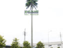 Cột chống sét cây dừa - www.dothixanh.com.vn