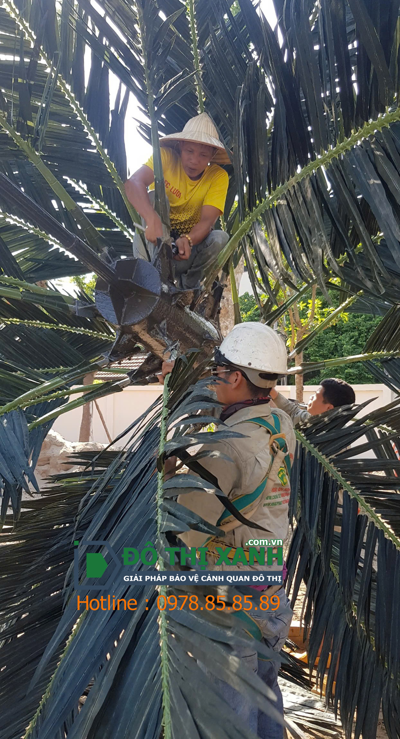 Thi công lắp dựng Cột thép ngụy trang cây dừa Toàn Quốc - www.dothixanh.com.vn