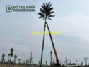 Cột thép ngụy trang cây dừa - Cung cấp, thi công lắp đặt toàn quốc - www.dothixanh.com.vn