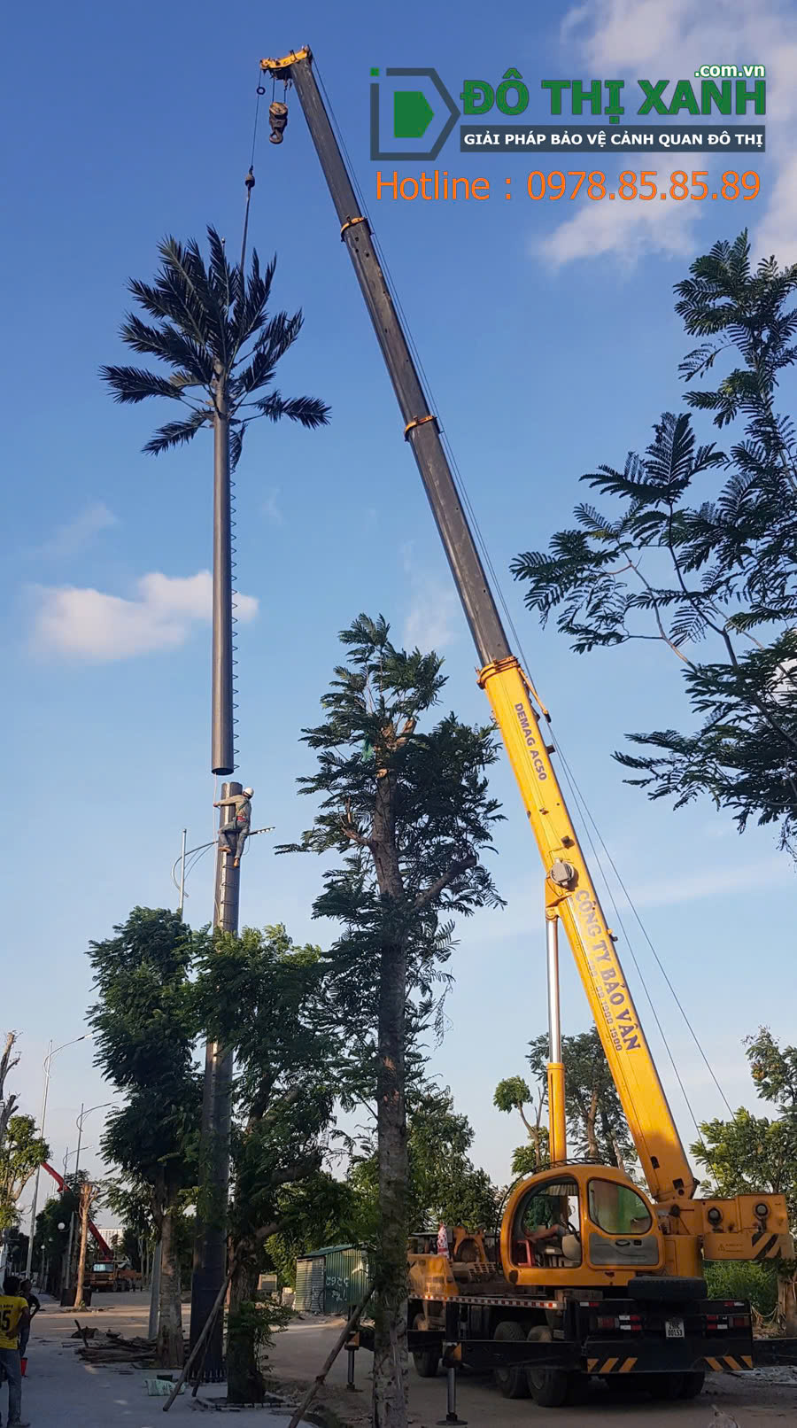 Đô Thị Xanh - Thi công lắp dựng Cột thép ngụy trang cây dừa Toàn Quốc – www.dothixanh.com.vn