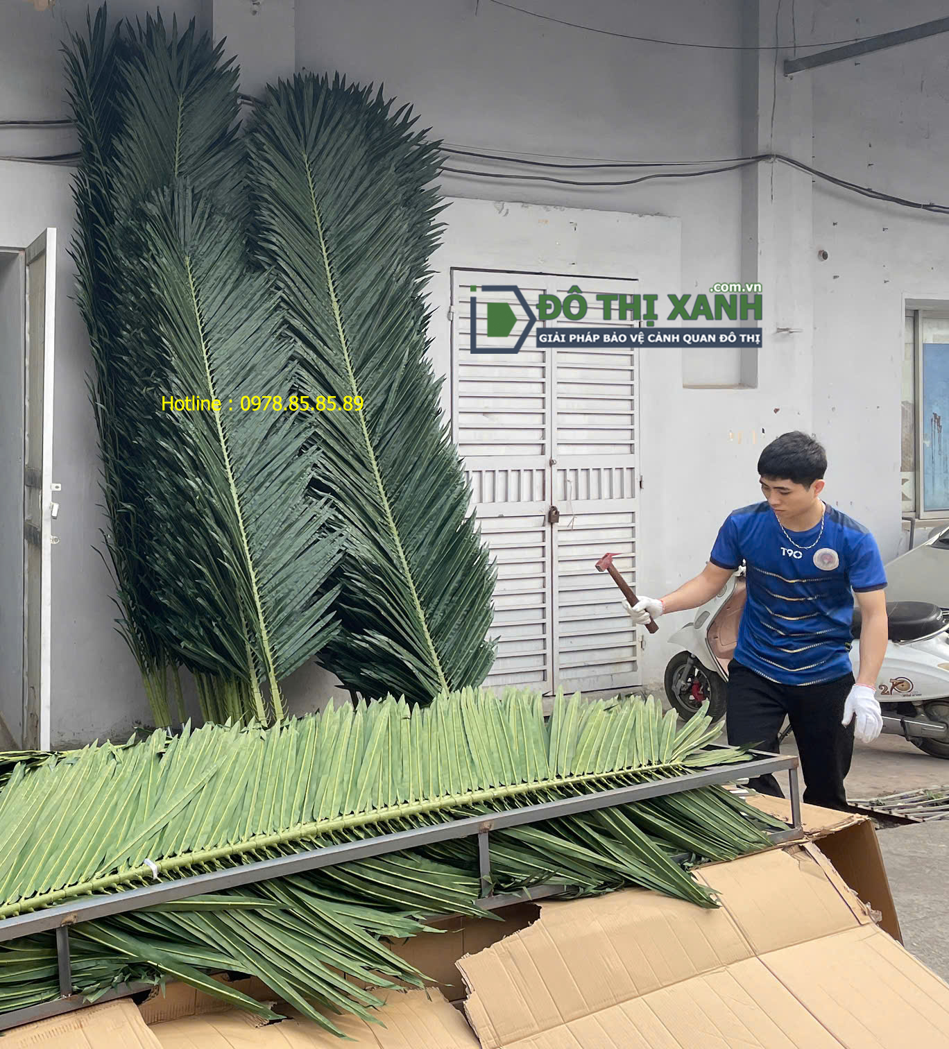 Cung cấp, lắp đặt lá dừa ngụy trang, cột thép giá cây dừa Toàn Quốc – www.dothixanh.com.vn