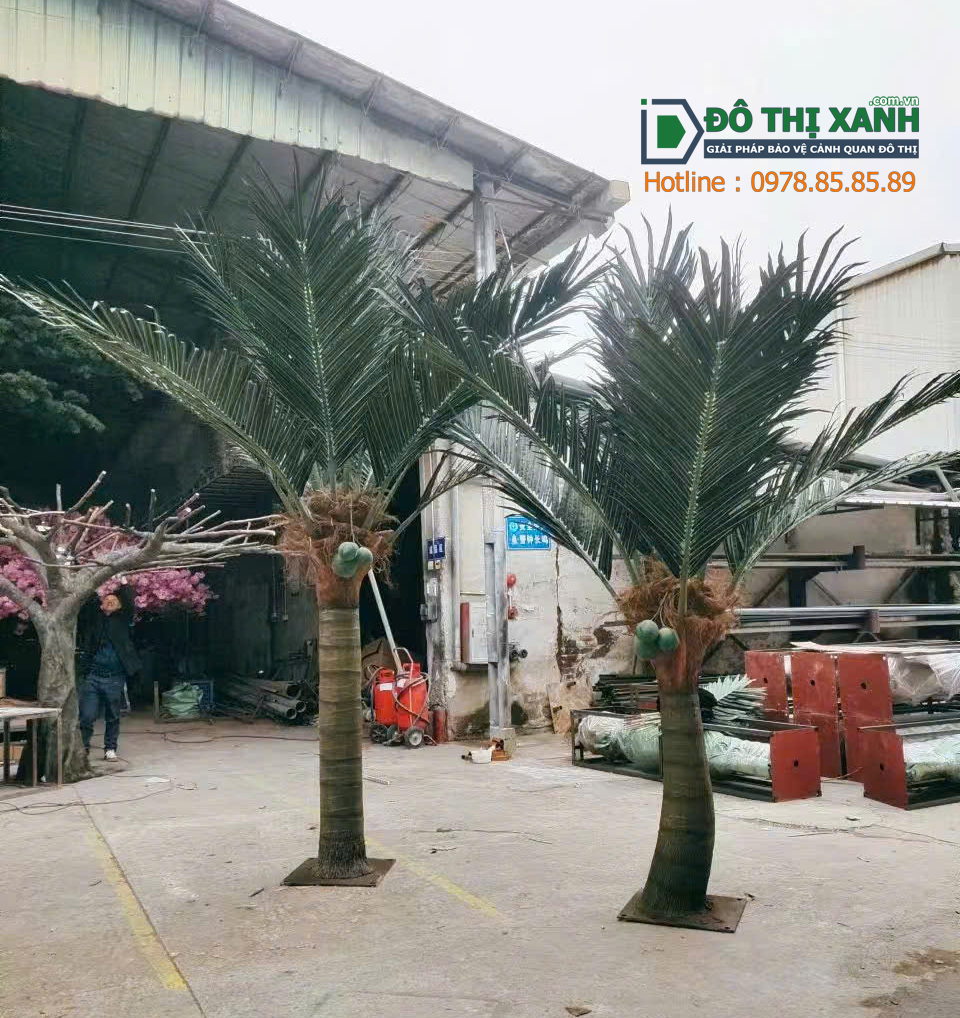 Cây dừa trang trí cao 3m