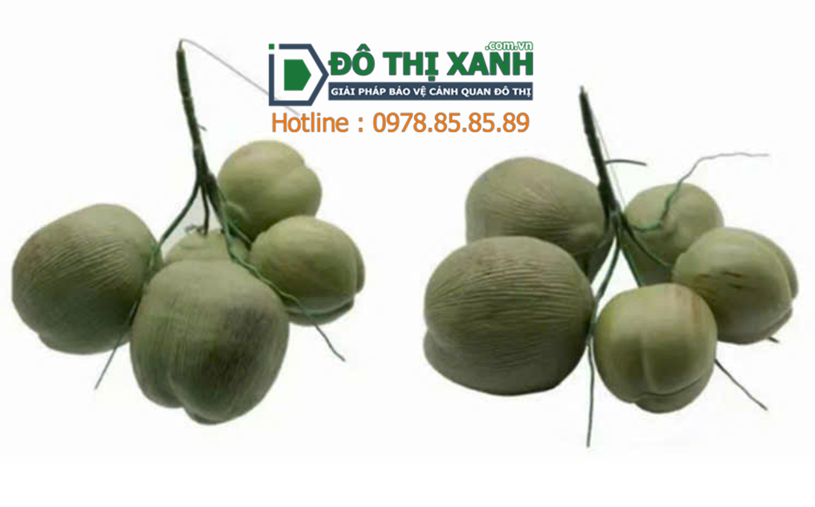 Chùm quả dừa trang trí - www.dothixanh.com.vn