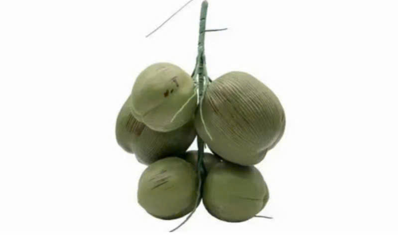 Chùm quả dừa trang trí
