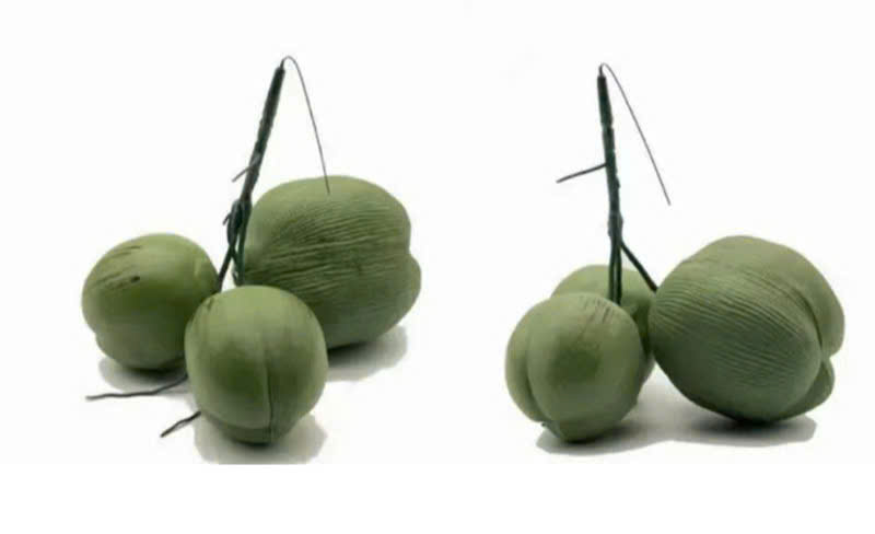Chùm quả trang trí cây dừa - www.dothixanh.com.vn