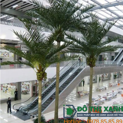 Cây Dừa Trang Trí Trong Trung Tâm Thương Mại